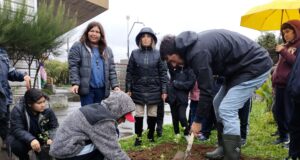 Gorbea renueva su compromiso con el medio ambiente plantando 2000 árboles nativos en conmemoración del Día de la Tierra