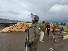 Carabineros desbarata “empresa” de sustracción de madera en Collipulli: era comercializada en región metropolitana y O’Higgins