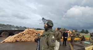 Carabineros desbarata “empresa” de sustracción de madera en Collipulli: era comercializada en región metropolitana y O’Higgins