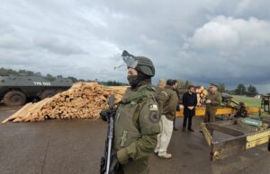 Carabineros desbarata “empresa” de sustracción de madera en Collipulli: era comercializada en región metropolitana y O’Higgins