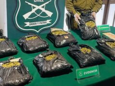 Detienen a mujer colombiana que transportaba marihuana cubierta con café en Perquenco