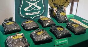 Detienen a mujer colombiana que transportaba marihuana cubierta con café en Perquenco