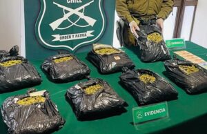 Detienen a mujer colombiana que transportaba marihuana cubierta con café en Perquenco
