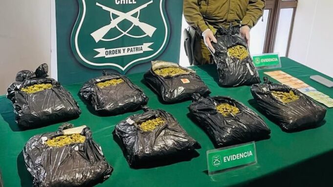 Detienen a mujer colombiana que transportaba marihuana cubierta con café en Perquenco