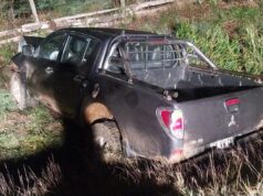 Violento accidente vehicular en Toltén: Choque de dos vehículos con vacuno suelto deja 5 lesionados y animal fallecido