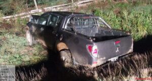 Violento accidente vehicular en Toltén: Choque de dos vehículos con vacuno suelto deja 5 lesionados y animal fallecido