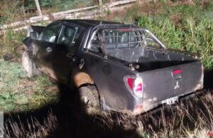 Violento accidente vehicular en Toltén: Choque de dos vehículos con vacuno suelto deja 5 lesionados y animal fallecido