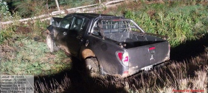Violento accidente vehicular en Toltén: Choque de dos vehículos con vacuno suelto deja 5 lesionados y animal fallecido