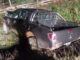 Violento accidente vehicular en Toltén: Choque de dos vehículos con vacuno suelto deja 5 lesionados y animal fallecido