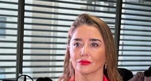 Concejala Peñailillo presentará recurso de protección contra ONG por cortes de 5G