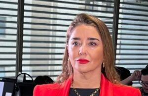 Concejala Peñailillo presentará recurso de protección contra ONG por cortes de 5G