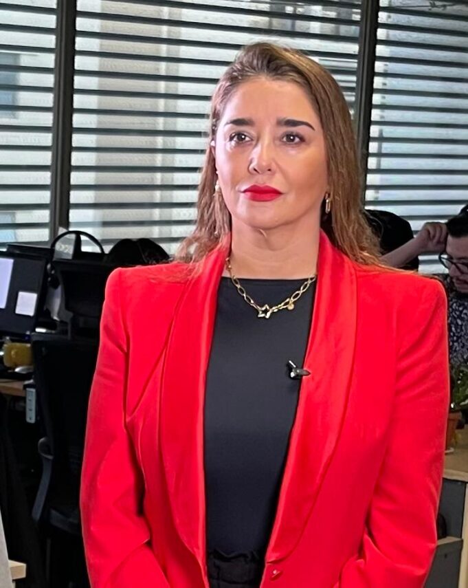 Concejala Peñailillo presentará recurso de protección contra ONG por cortes de 5G