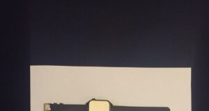 Detienen a ciudadana extranjera que intentó ingresar smartwatch y chip telefónico a la cárcel de Angol