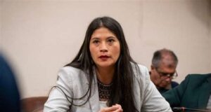 Rechazan desaforar a diputada Ñanco tras querella por injurias interpuesta por gobernador Rivas