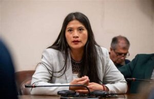 Rechazan desaforar a diputada Ñanco tras querella por injurias interpuesta por gobernador Rivas