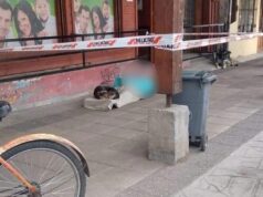 Persona en situación de calle falleció en Villarrica: presuntamente, su deceso trató por temas de salud