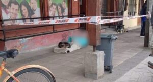 Persona en situación de calle falleció en Villarrica: presuntamente, su deceso trató por temas de salud