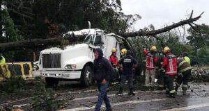 Ordenan detener a alcalde de Lautaro por indemnización impaga por muerte de conductor tras caerle árbol en parque