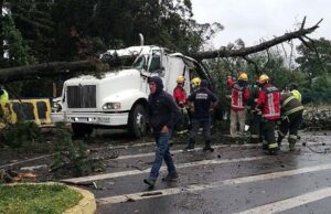 Ordenan detener a alcalde de Lautaro por indemnización impaga por muerte de conductor tras caerle árbol en parque
