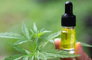 Familiar de detenido por infracción a la ley de drogas en Pitrufquén asegura que la detención fue ilegal: «es cannabis para uso medicinal»