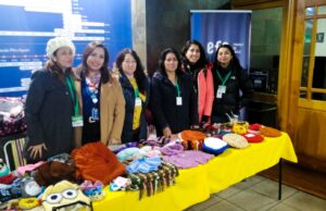 Emprendedores de Pitrufquén comenzaron a exponer sus productos en estación de trenes de Temuco