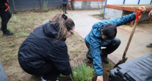 Estudiantes de la Autónoma de Temuco realizaron intervención urbana por el Día del Medio Ambiente