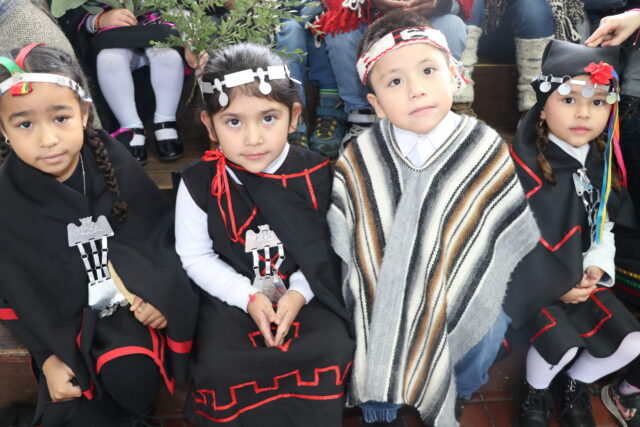 Comunidades educativas de Villarrica inician las celebraciones del We Tripantu