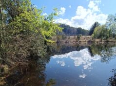 Villarrica cuenta con un nuevo Humedal Urbano protegido legalmente