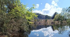 Villarrica cuenta con un nuevo Humedal Urbano protegido legalmente