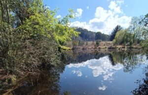 Villarrica cuenta con un nuevo Humedal Urbano protegido legalmente