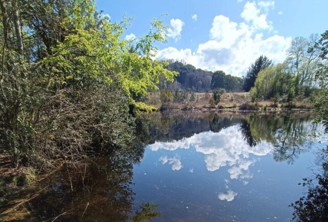 Villarrica cuenta con un nuevo Humedal Urbano protegido legalmente