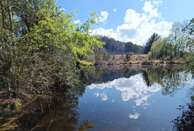 Villarrica cuenta con un nuevo Humedal Urbano protegido legalmente