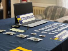 Detienen a pareja en Traiguén por diversos delitos: tenían droga y munición en su domicilio