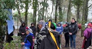 Comunidad de Freire celebró el We Tripantu pidiendo paz en la región y unidad entre los habitantes de las 32 comunas de La Araucanía