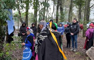 Comunidad de Freire celebró el We Tripantu pidiendo paz en la región y unidad entre los habitantes de las 32 comunas de La Araucanía