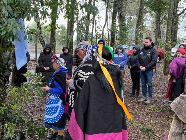 Comunidad de Freire celebró el We Tripantu pidiendo paz en la región y unidad entre los habitantes de las 32 comunas de La Araucanía
