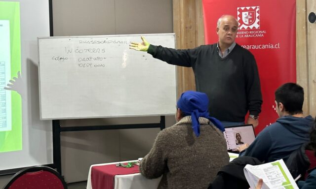 Con seminario de e-commerce gobierno regional entrega herramientas para promover la internalización de emprendedores de La Araucanía
