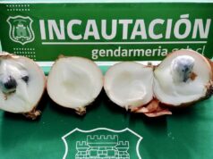 Oculta en cebollas intentaron ingresar droga a la cárcel de Temuco