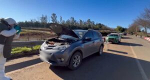 Operativo aéreo y terrestre de Carabineros en Ercilla: un vehículo recuperado, armamento y un detenido