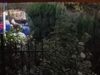 Carabineros detiene a pareja por homicidio frustrado en Padre Las Casas