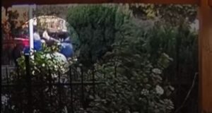 Carabineros detiene a pareja por homicidio frustrado en Padre Las Casas