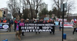 Marcha en La Araucanía: pescadores denuncian autorización de pesca de reineta con red de arrastre