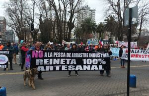 Marcha en La Araucanía: pescadores denuncian autorización de pesca de reineta con red de arrastre