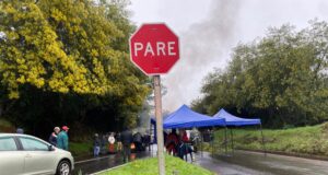 Vecinos y Alcaldesa se reunirán con el MOP para zanjar arreglo de camino Filoco-Copihual en Pitrufquén