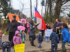 Vecinos de Freire se movilizan contra robos en establecimientos educacionales rurales