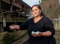 Agricultores de Vegas de Lessio en Villarrica se capacitaron en productos agroelaborados