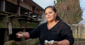 Agricultores de Vegas de Lessio en Villarrica se capacitaron en productos agroelaborados