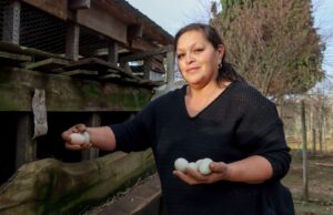 Agricultores de Vegas de Lessio en Villarrica se capacitaron en productos agroelaborados