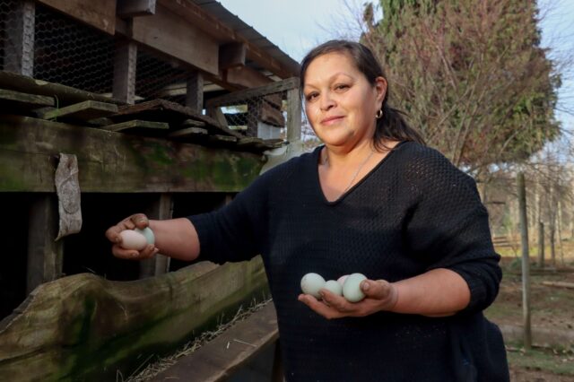 Agricultores de Vegas de Lessio en Villarrica se capacitaron en productos agroelaborados