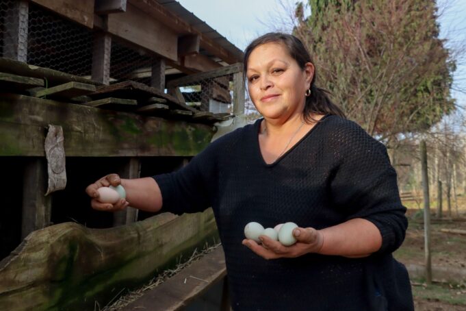 Agricultores de Vegas de Lessio en Villarrica se capacitaron en productos agroelaborados